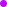 dot-violet